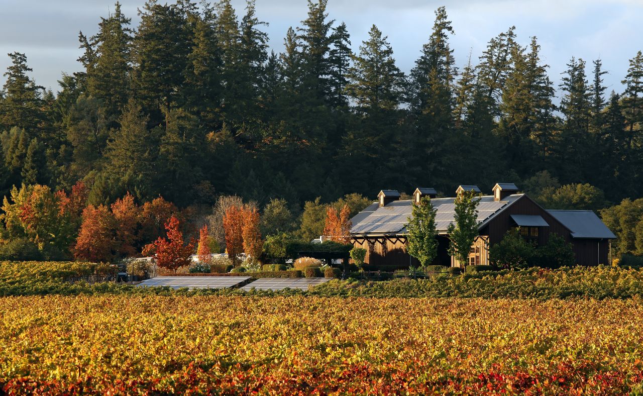 Dutcher Crossing Winery and vineyard during fall.