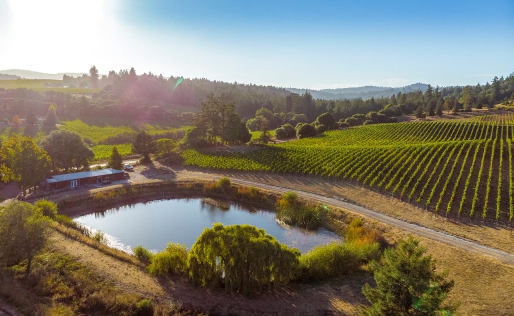 Lula Cellars aerial view. 