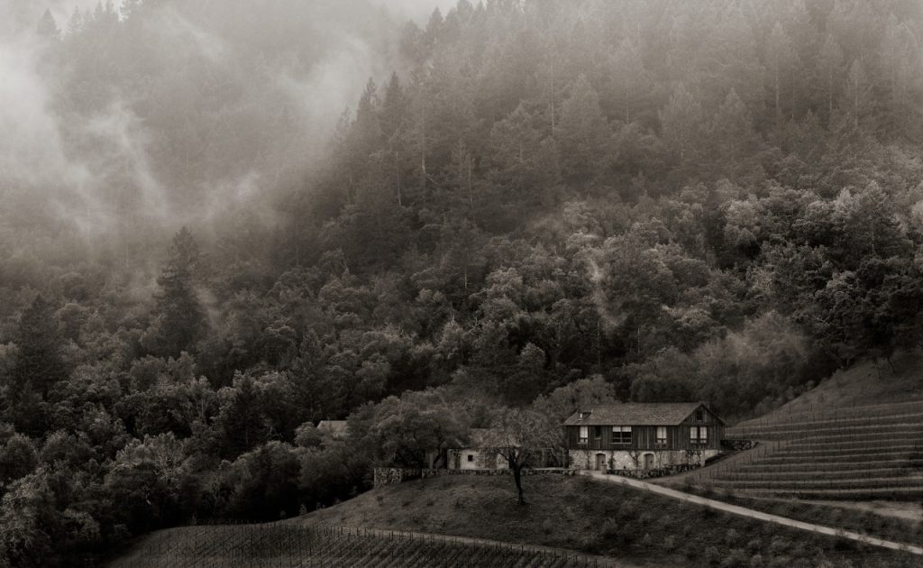 BOND Wine Estate and vineyard.