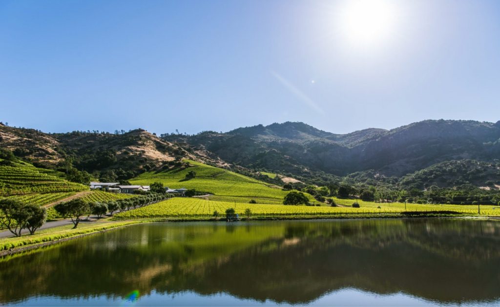 Shafer Vineyards pond and hillside.