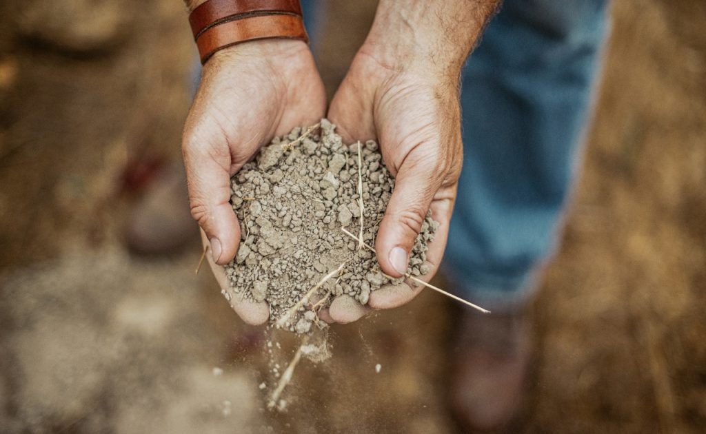 Arista wines showcase the unique terroir and attributes of each vineyard and the complex mix of soils.