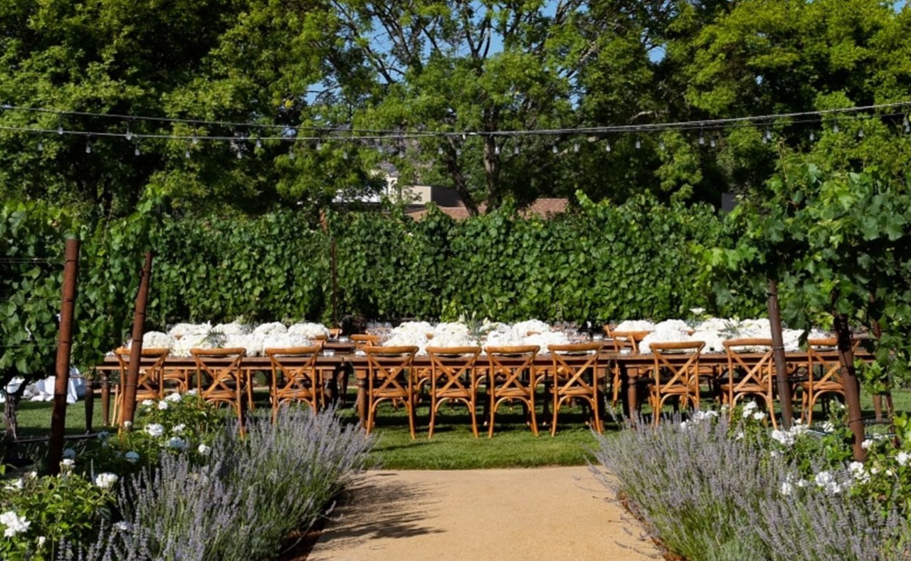 Estate Yountville vineyard in Napa Valley.