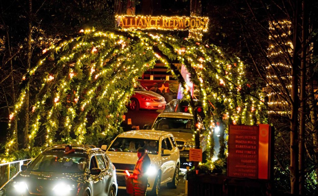 Christmas in the Redwoods.