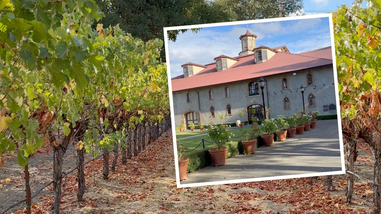 Charles-krug-winery-and-vineyard