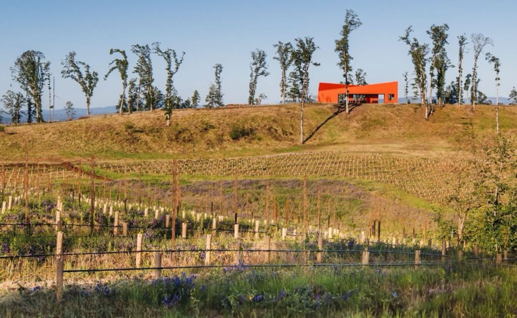 Corollary Wines’ dramatic hilltop location in Eola-Amity Hills.