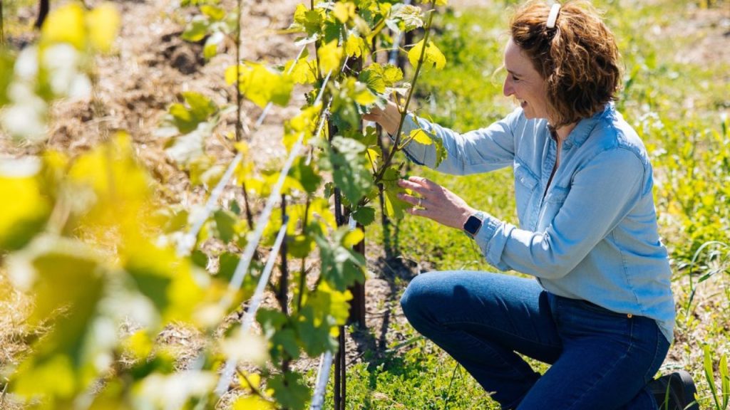 Nicole Marchesi, Director of Winemaking at Far Niente looking at grapevines.