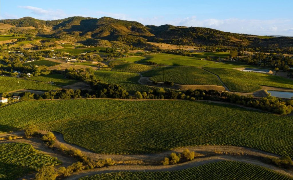 Faust Wines Vineyard and hills.