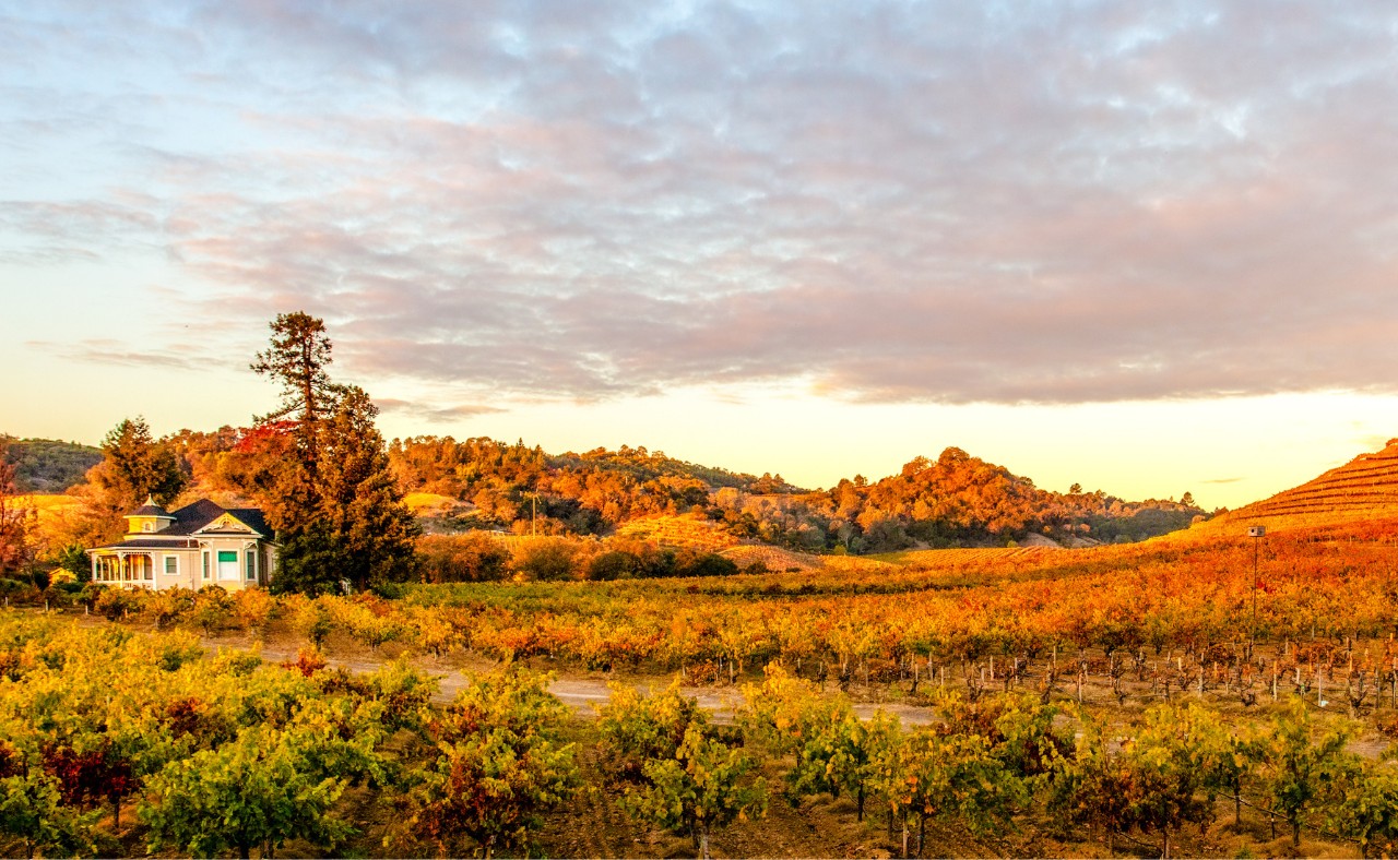 Seghesio Family Vineyards winery during sunset.