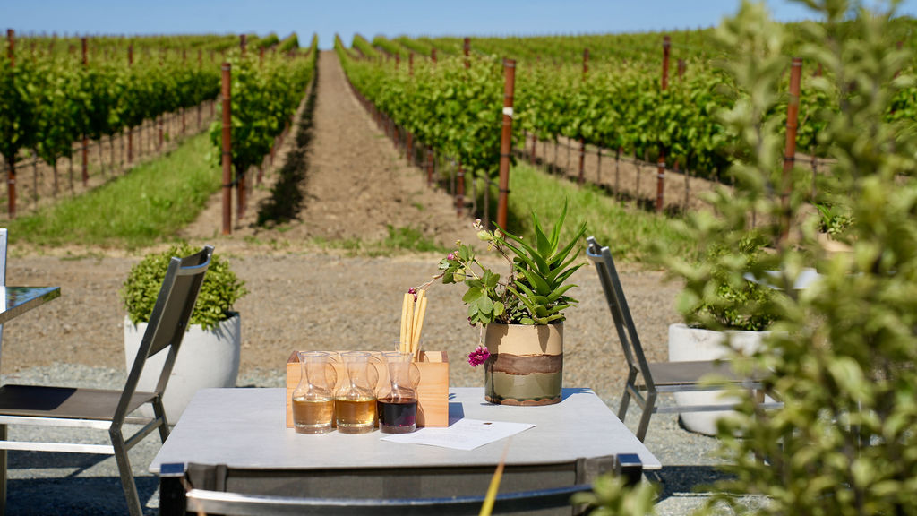 Cuvaison Winery VineYard.