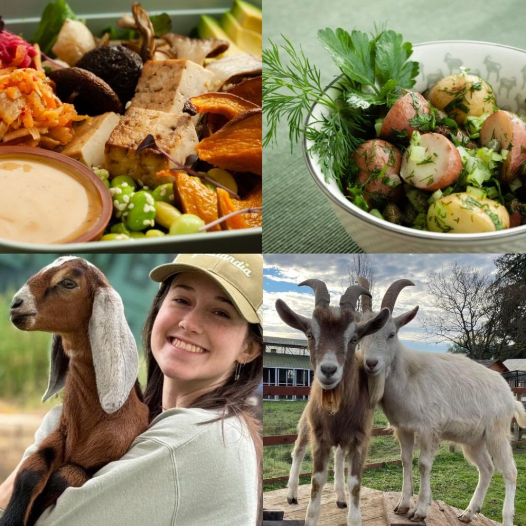 Goats, food and young woman at Goatlandia Kitchen and Sanctuary.