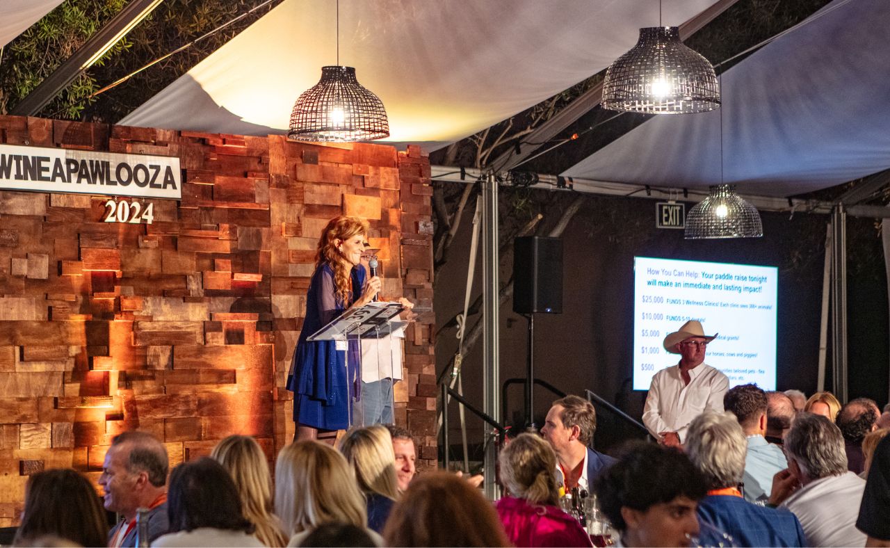 Monica Stevens, President and Founder of Jameson Humane at WineaPAWlooza event.
