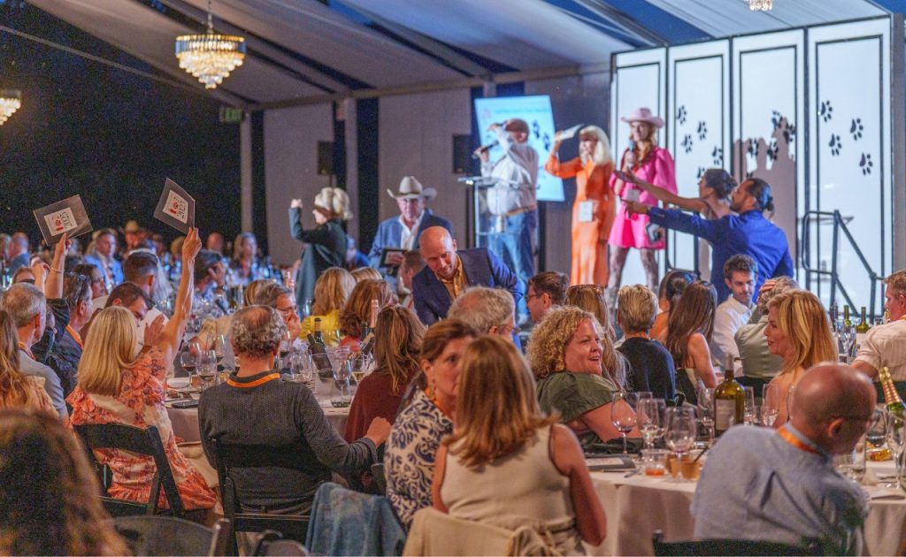 Guests at Oakville’s Castellucci Estate for the 12th annual WineaPAWlooza Live Auction.

