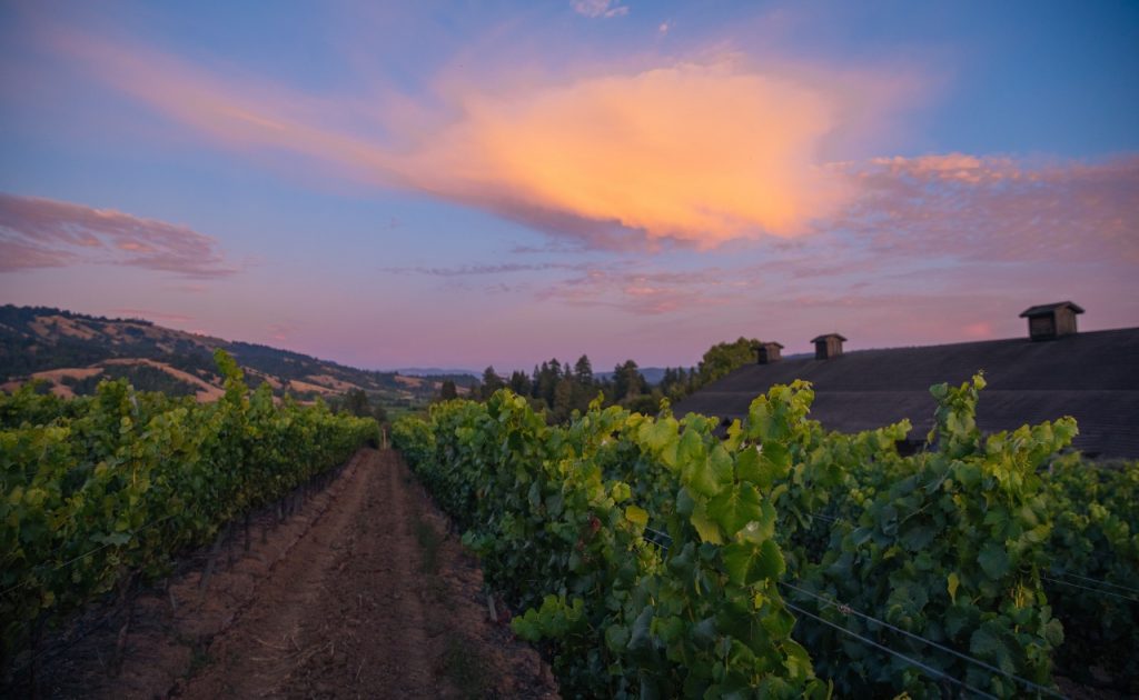 Roederer Estate vineyard and winery at sunset.