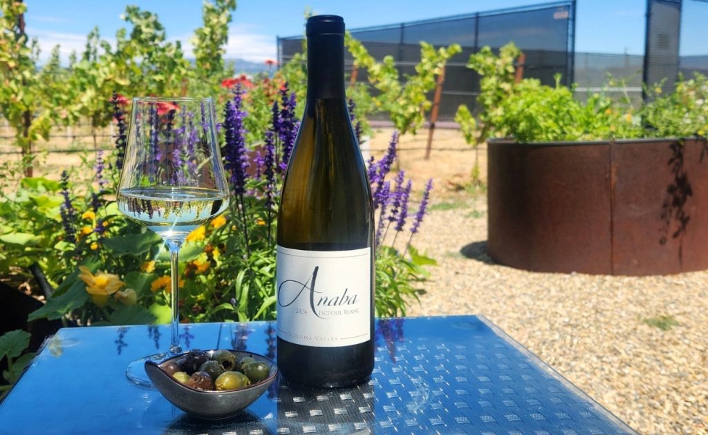 Anaba’s 2024 Picpoul Blanc.