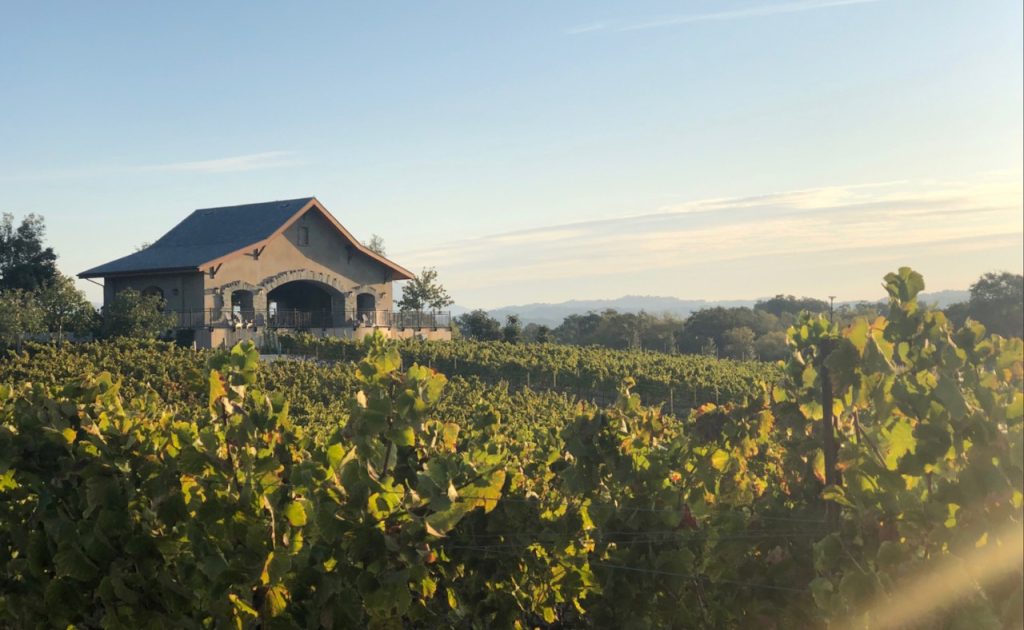 Bricoleur Vineyards Pavilion. 