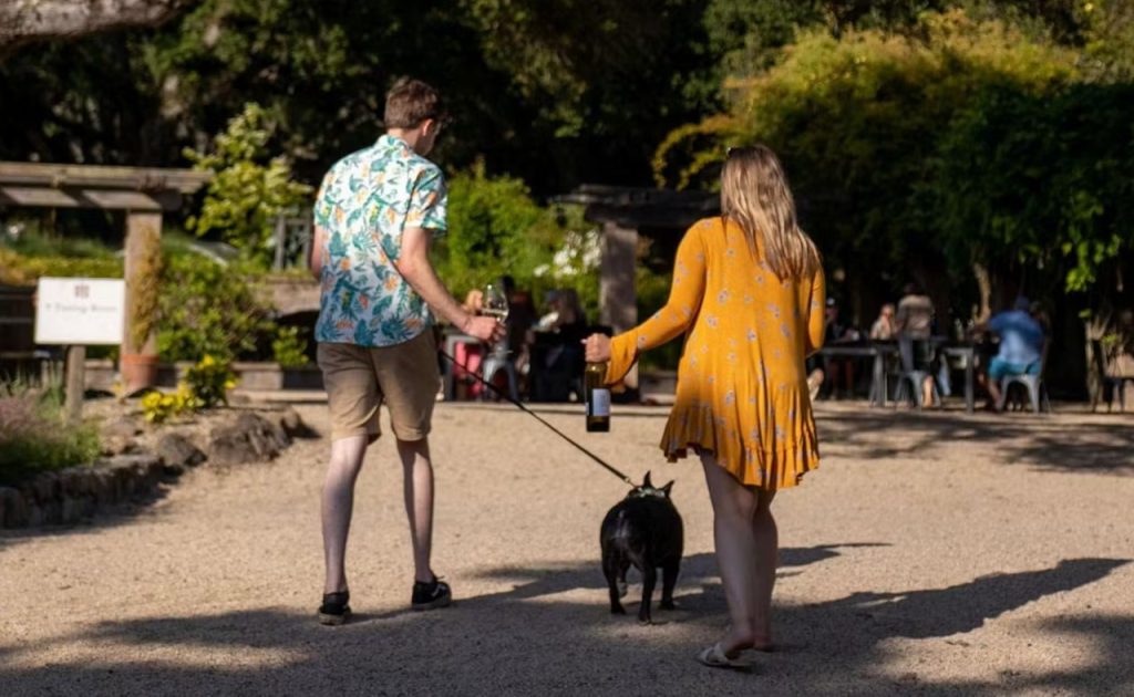 Two people walking a dog at Matanzas Creek Winery.