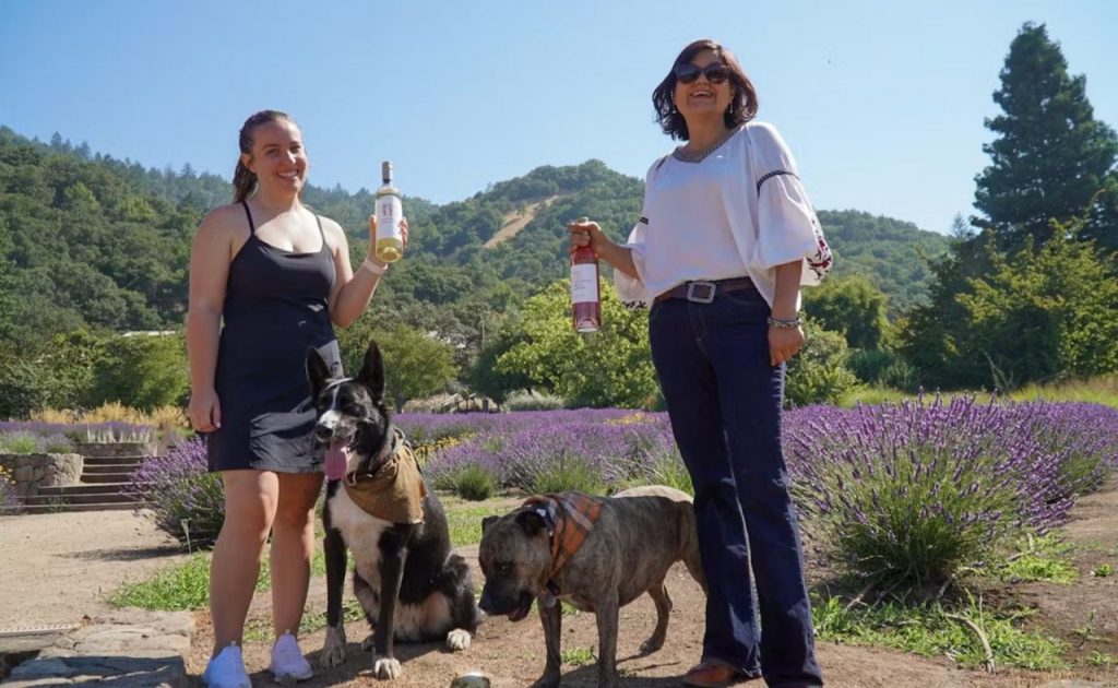 Two dogs and two women at Matanzas Creek Winery.