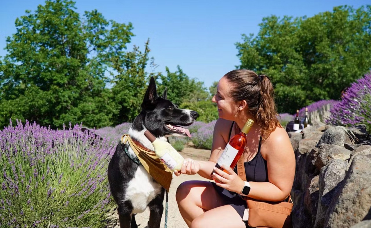 Woman and dog at Matanzas Creek Winery.