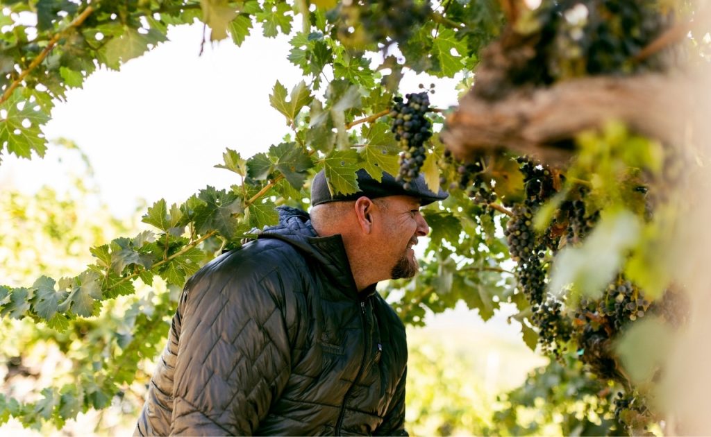 Winemaker Matt Taylor in vineyard.