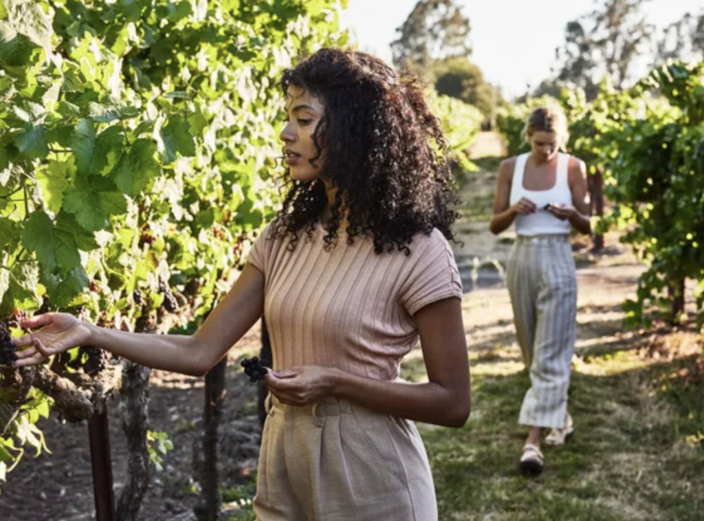 Solage Resort Vineyard walk activity.