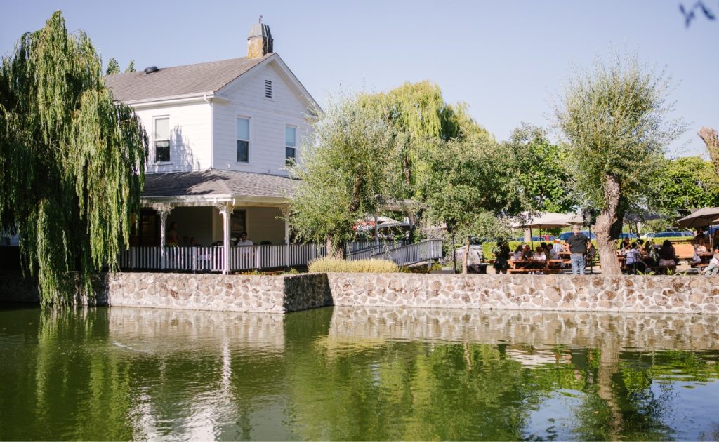 Cline Family Cellars pond, patio and tasting room. 