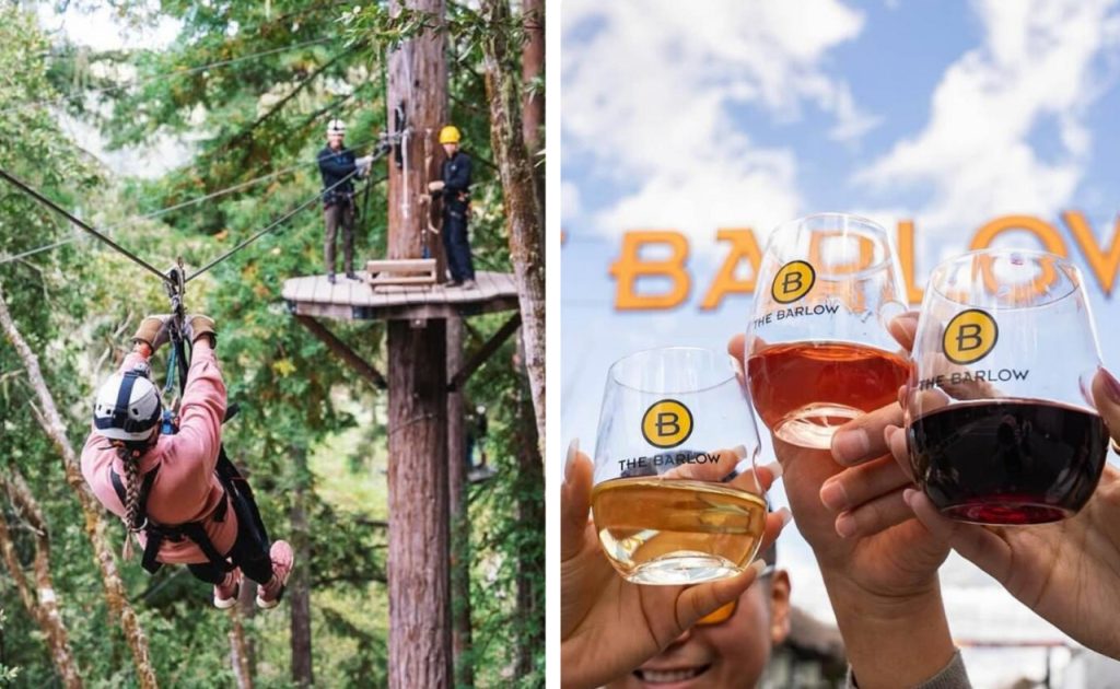 Zipline and tasting wine.