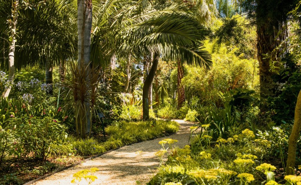 Spring Mountain Vineyard botanical garden.
