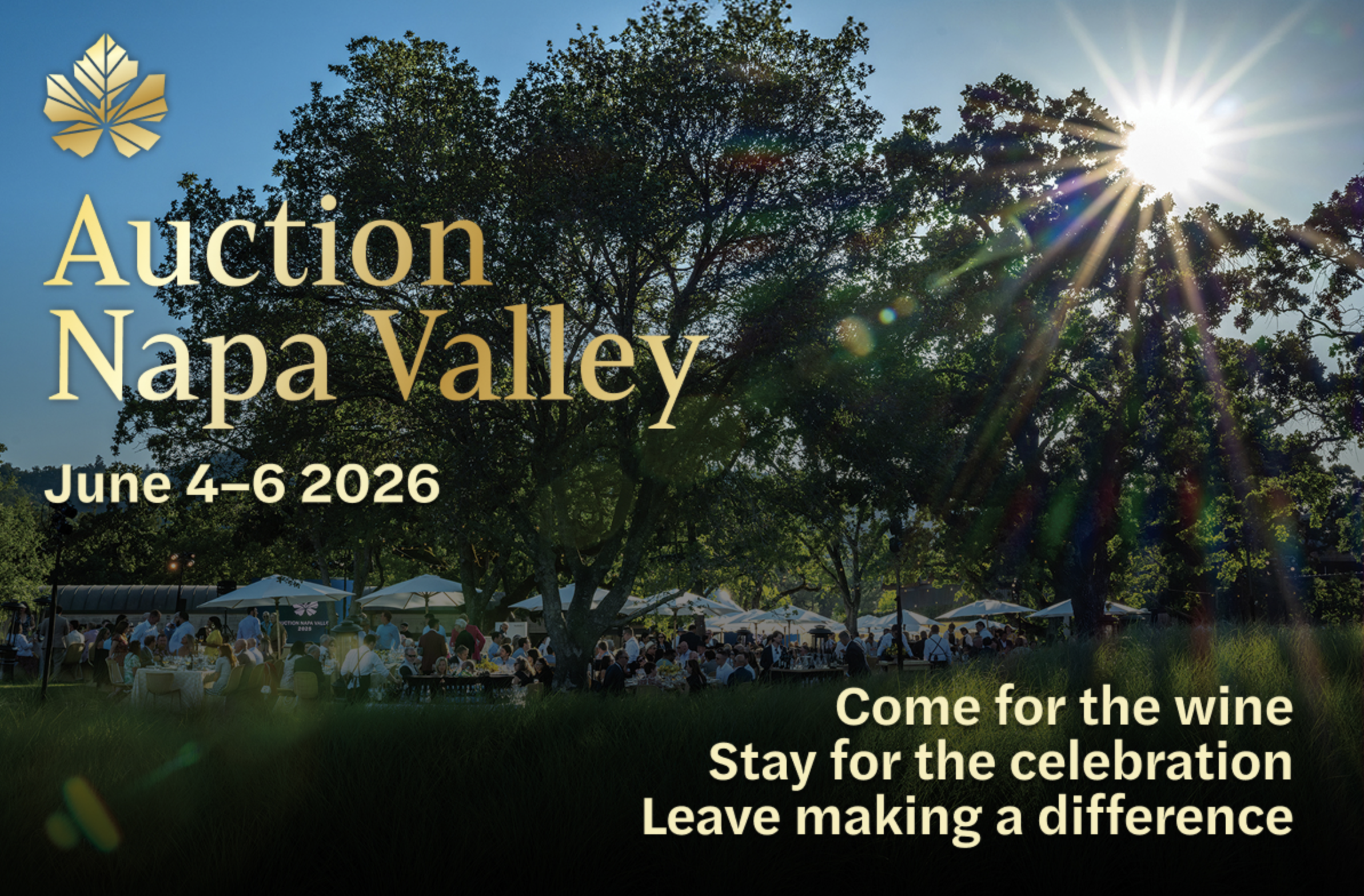 Auction Napa Valley event information with vineyard in background.