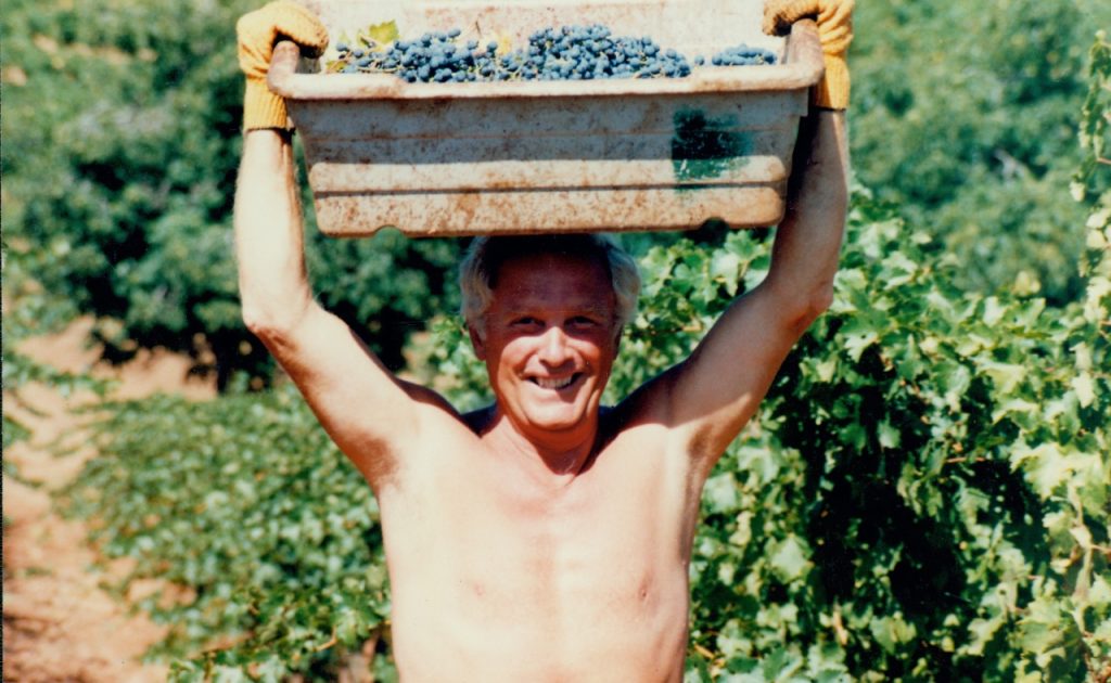 Dan Duckhorn harvesting grapes in the 80s.