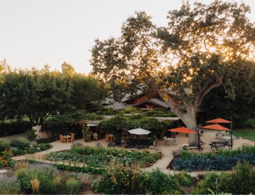 Roblar Winery and Vineyards in Santa Ynez Valley