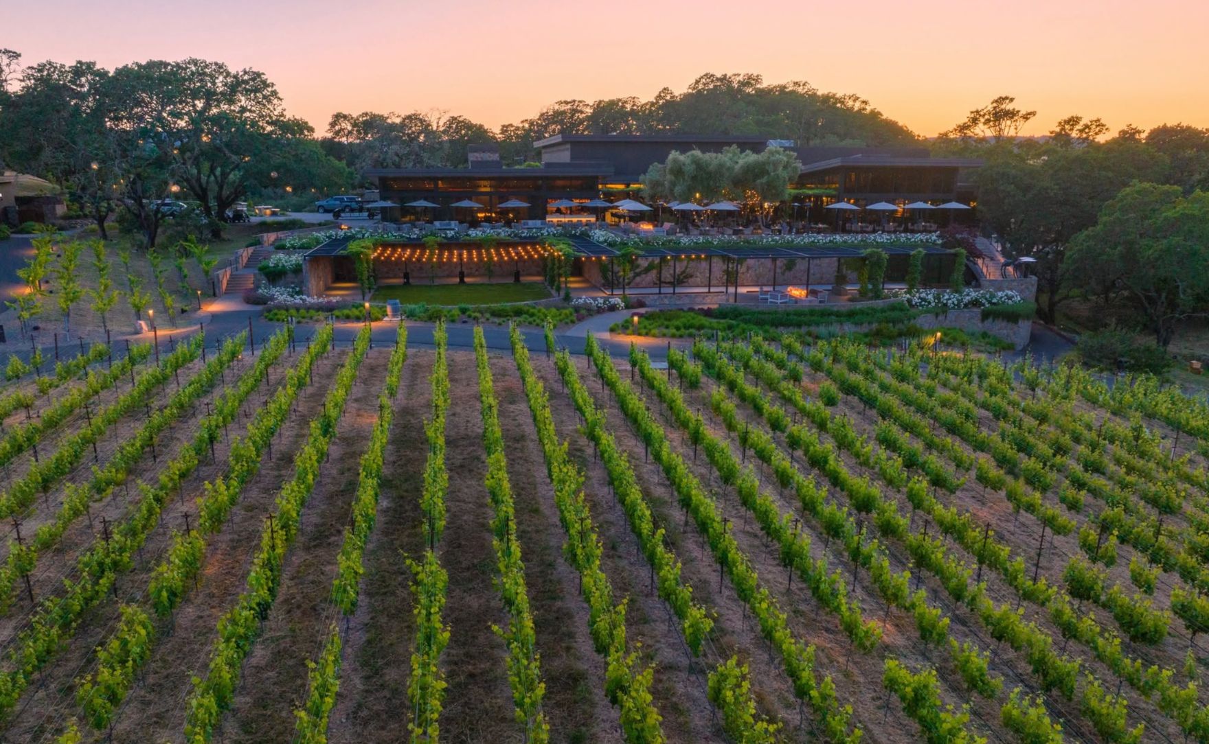 Montage Healdsburg exterior and vineyard.